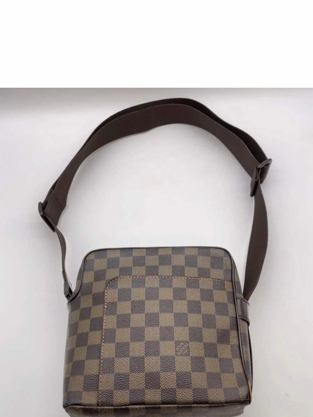 Louis Vuitton authentic louis